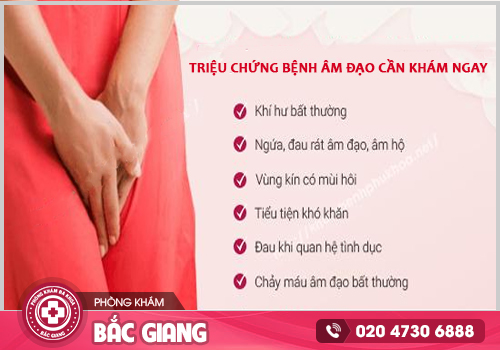 Các bệnh âm đạo thường gặp và sự ảnh hưởng của chúng