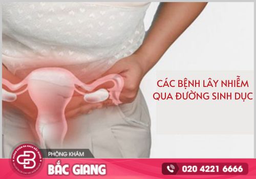 Các căn bệnh sinh dục thường gặp ở nữ giới - Nhận biết sớm chớ chủ quan