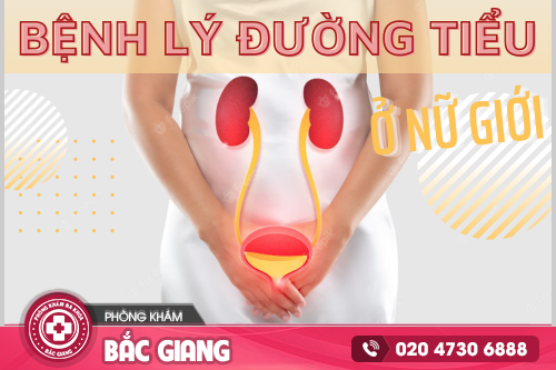 Tổng hợp các bệnh lý đường tiểu - Nguyên nhân, cách điều trị hiệu quả
