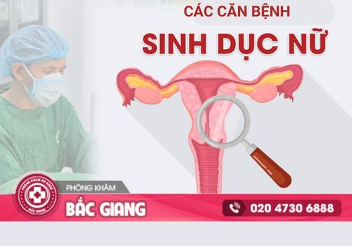 bệnh sinh dục nữ