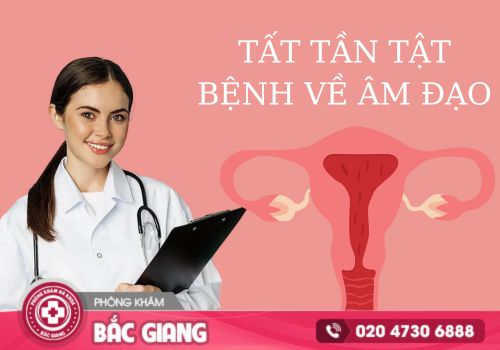 Tất tần tật bệnh về âm đạo ở nữ giới