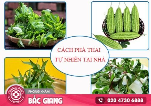 Các phương pháp bỏ thai tại nhà. bỏ thai tại nhà