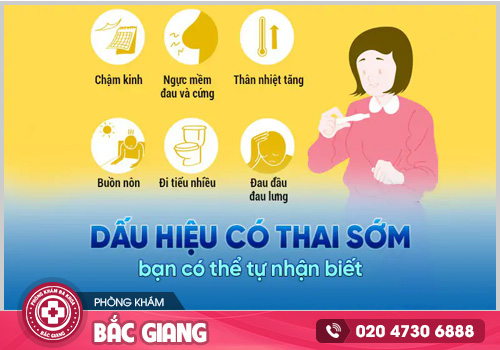 Mới cấn bầu nên làm gì? Nên đến đâu để tư vấn, đình chỉ thai nghén an toàn?