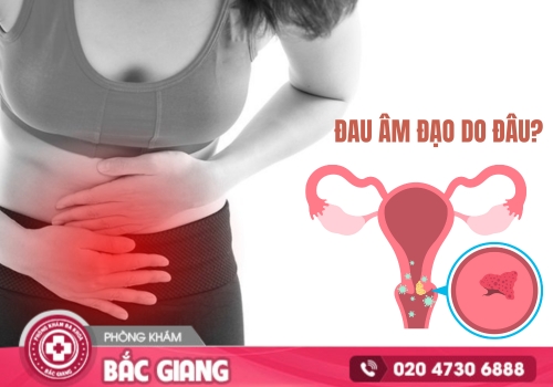 Đau âm đạo - Dấu hiệu nhận biết của các bệnh phụ khoa nguy hiểm