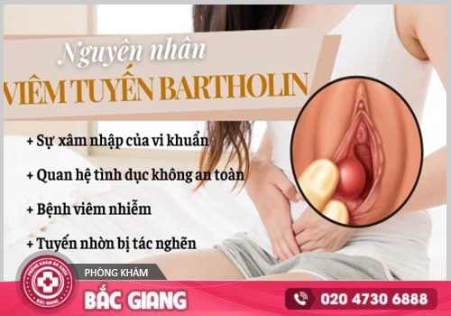 Bệnh về âm hộ