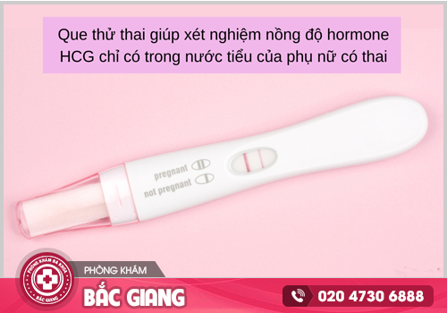 Que thử thai báo hiệu có thai chuẩn nhất khi nào? Cách sử dụng đúng