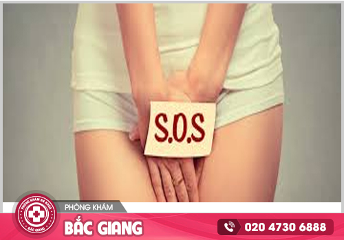 Rận mu vùng kín - Những điều có thể bạn chưa biết?