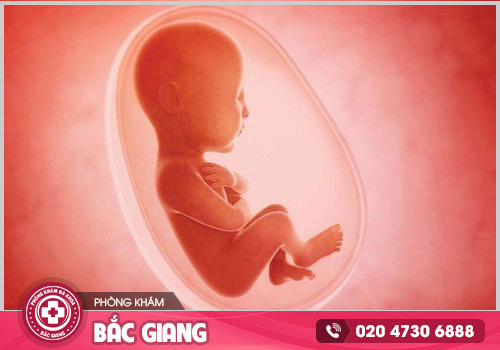 Không may bị thai lưu, hướng xử lý an toàn cho mẹ