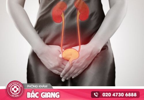 Tư vấn thuốc chữa viêm đường tiết niệu nữ