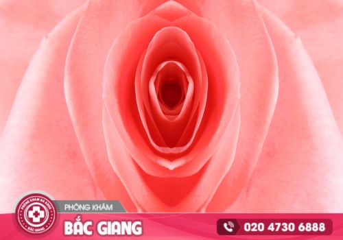Các bệnh thường gặp ở cô bé môi lớn môi bé âm đạo