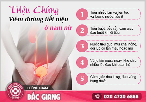 Triệu chứng viêm đường tiểu ở nữ giới