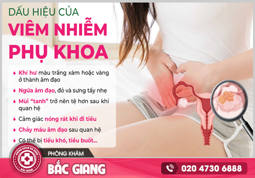 Viêm nhiễm vùng kín: Nguyên nhân, Dấu hiệu và Phương pháp điều trị