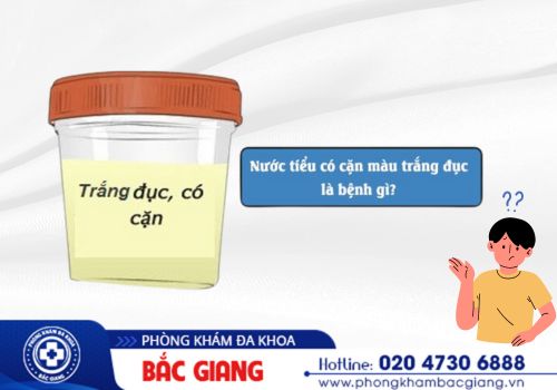 Tình Trạng Tiểu Đục Các Bệnh Liên Quan Và Địa Chỉ Chữa Trị Tốt