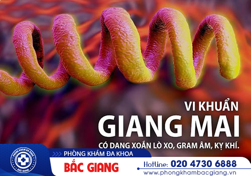 Bệnh giang mai là gì? Nguyên nhân Dấu hiệu và Cách trị