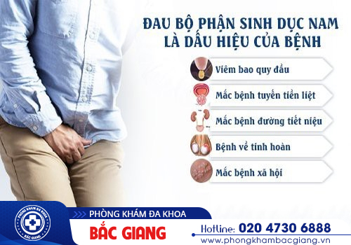 Bị đau bộ phận sinh dục nam là bệnh gì?
