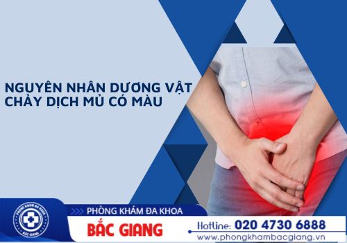 dương vật bị chảy mủ có màu 