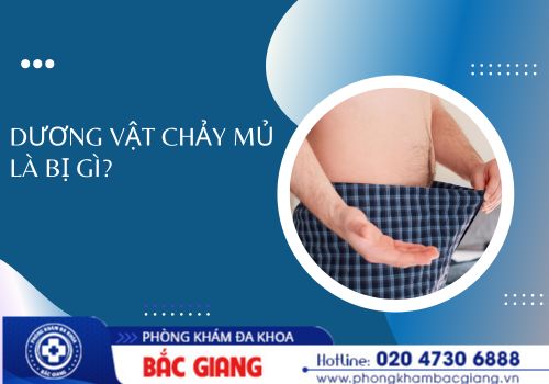 dương vật chảy mủ là bị gì