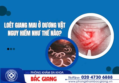 loét giang mai ở dương vật