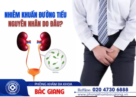 nhiễm khuẩn đường tiểu