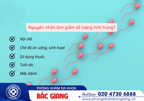 Tinh trùng ít có ảnh hưởng đến khả năng sinh sản?
