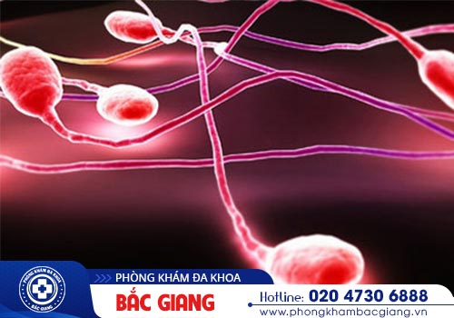 Xuất tinh ra máu có nguy hiểm không?